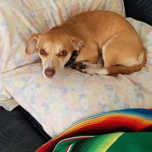 Meet your Posher, Neil